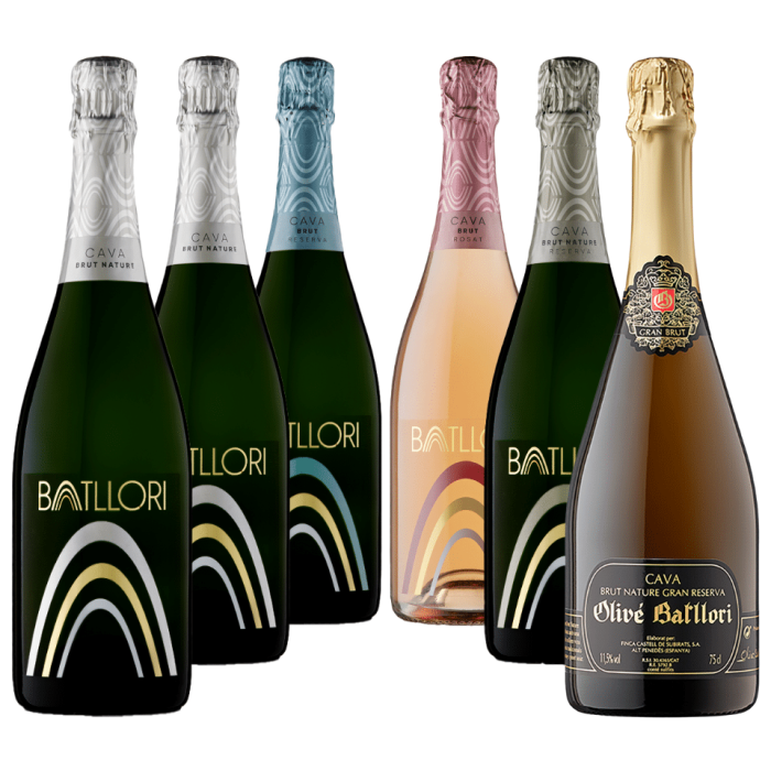 Cava Batllori Mosaic Moments