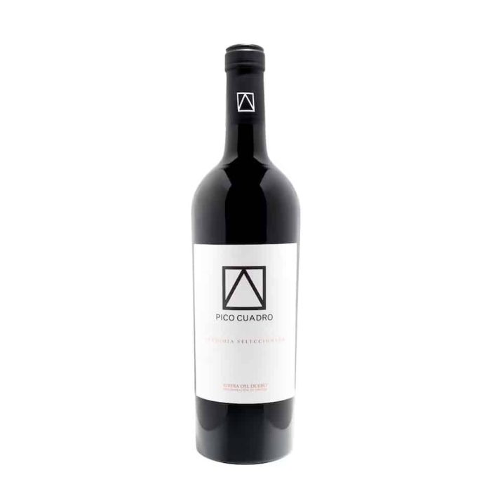 Pico cuadro vendimia 2019 rödvinsflaska med etikett